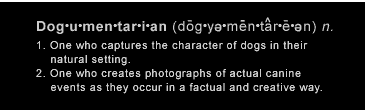 Dogumentarian: 1. One who captures the character of dogs in their natural setting. 2. One who creates photographs of actual canine events as they occur in a factual and creative way